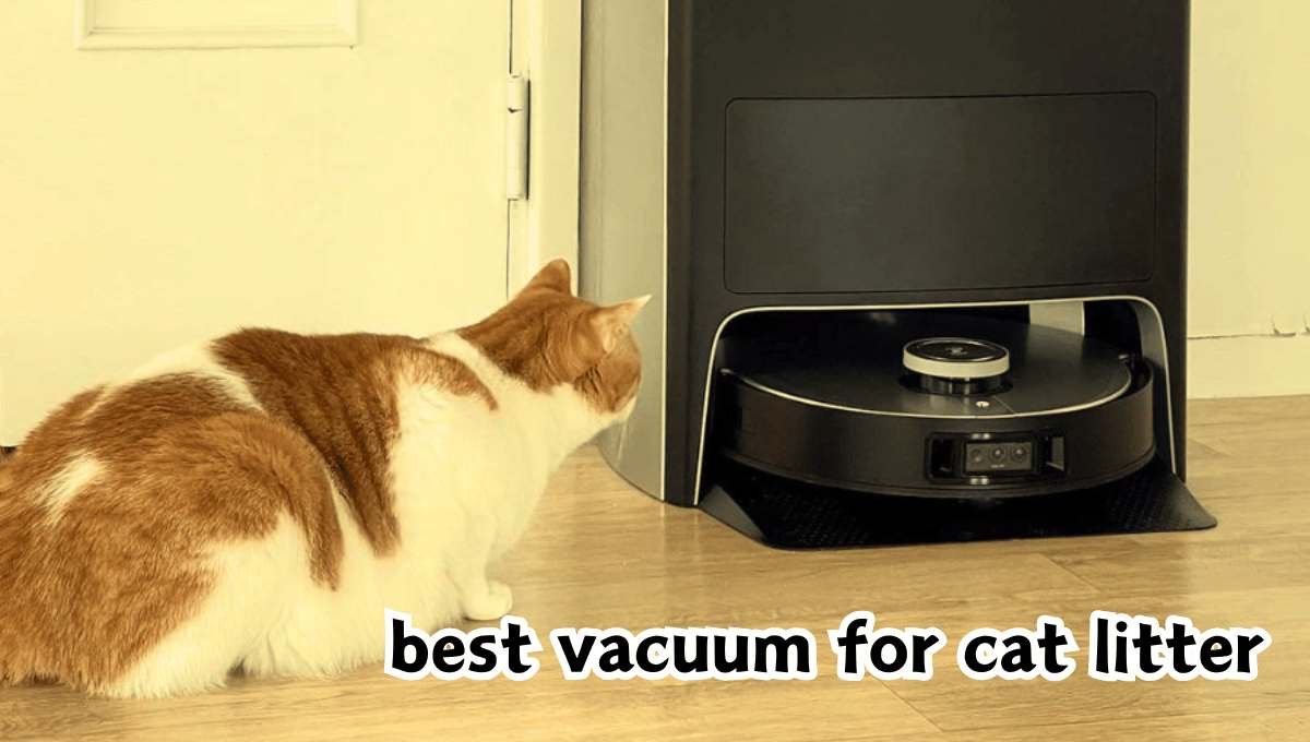 best vacuum for cat litter