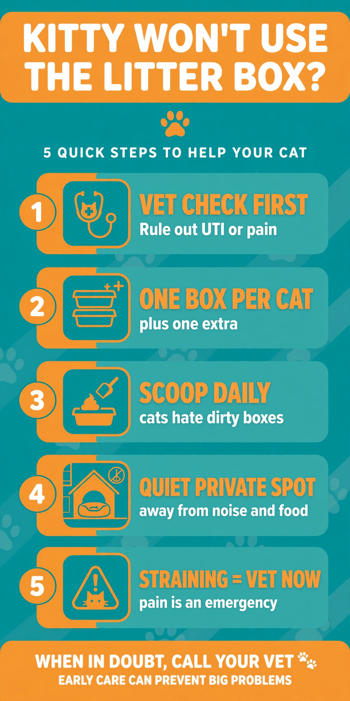 Infographic: 5 steps when your kitten won't use the litter box — vet check, box per cat, scoop daily, private spot, straining means vet now