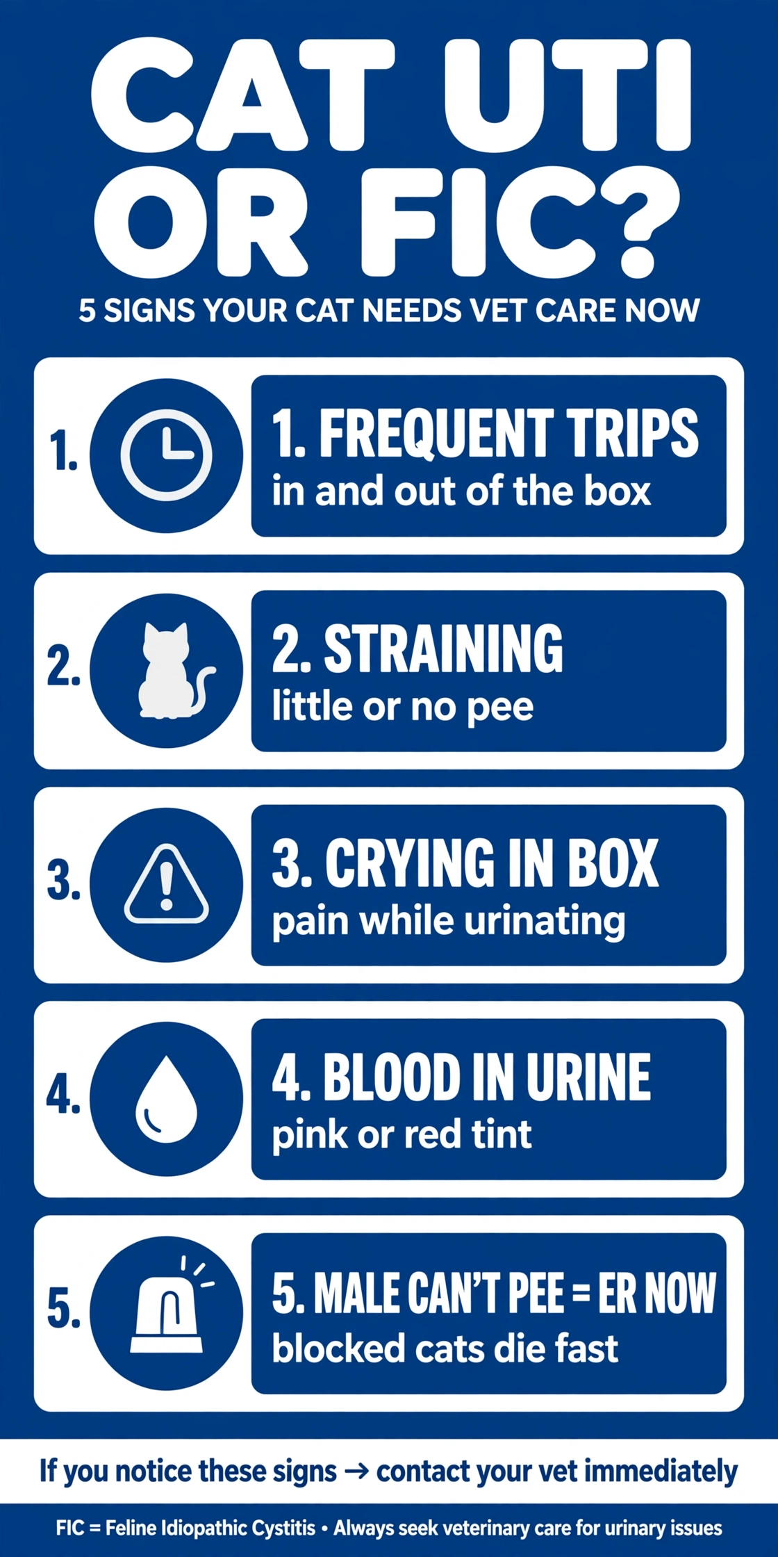 Infographic: cat UTI or FIC signs β frequent trips, straining, crying in box, blood in urine, blocked males are an emergency