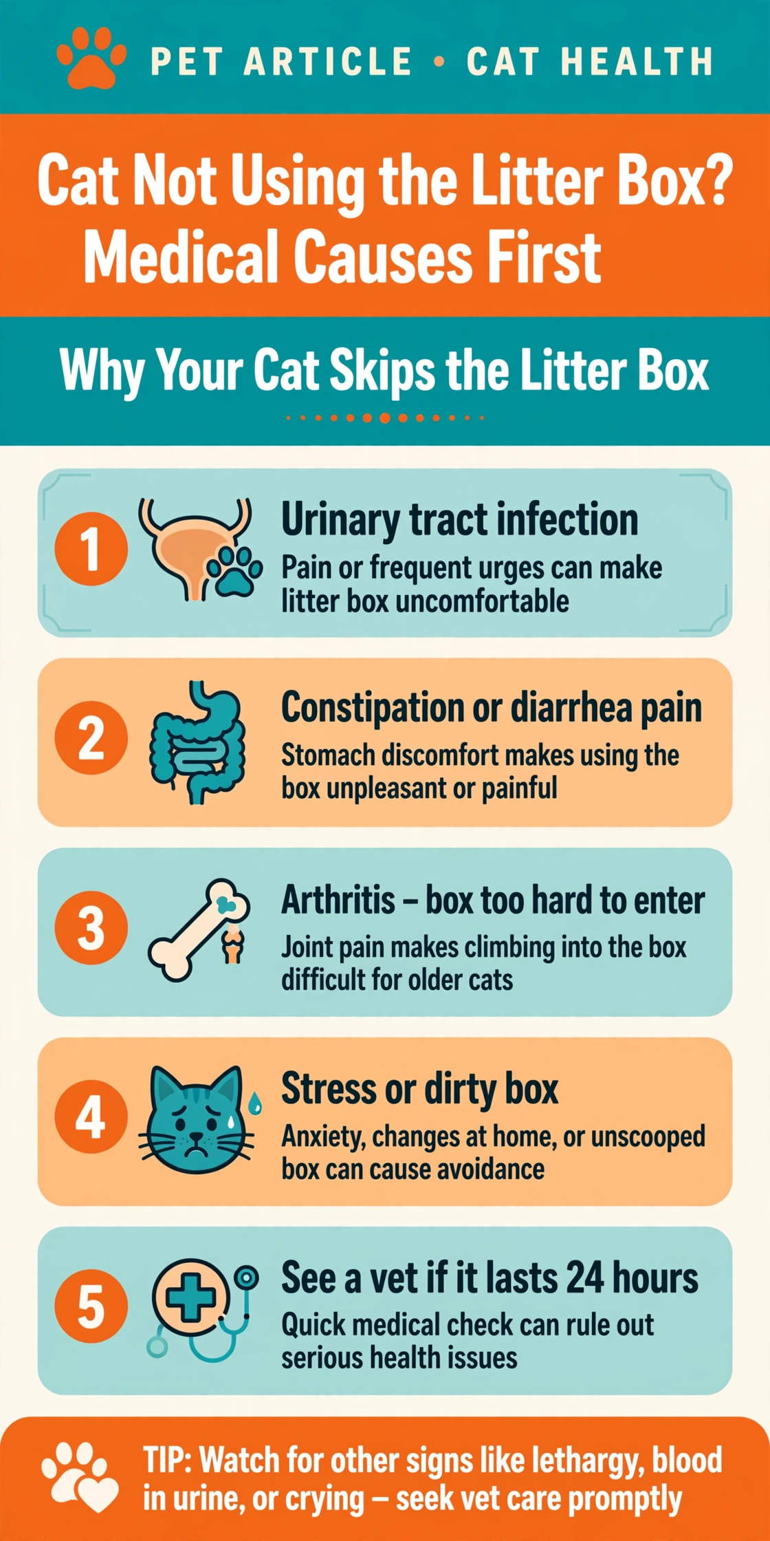 Infographic showing 5 medical reasons cats stop using the litter box, from UTI to arthritis