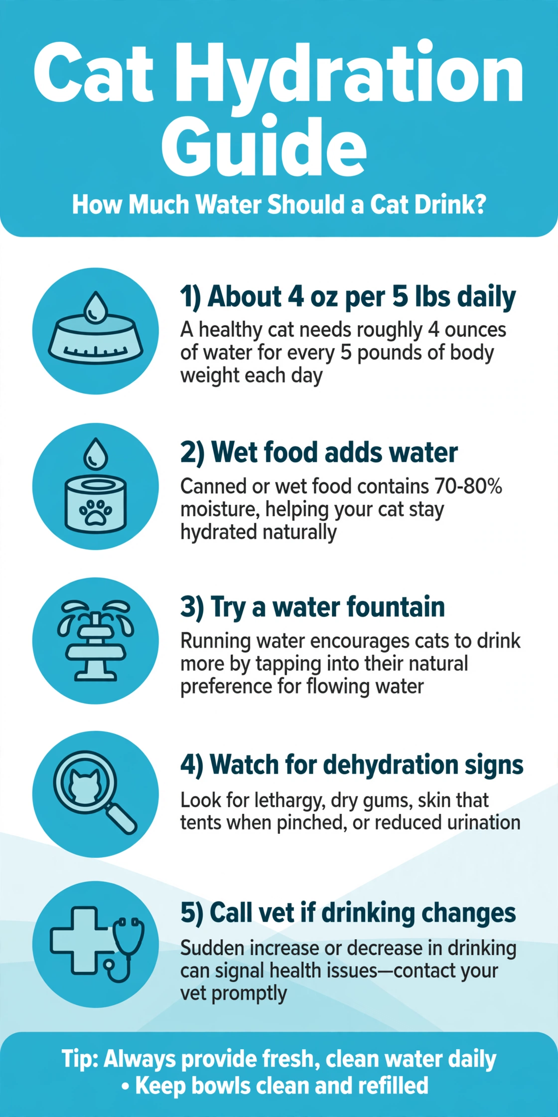 Infographic showing daily cat water needs, hydration tips, and dehydration warning signs