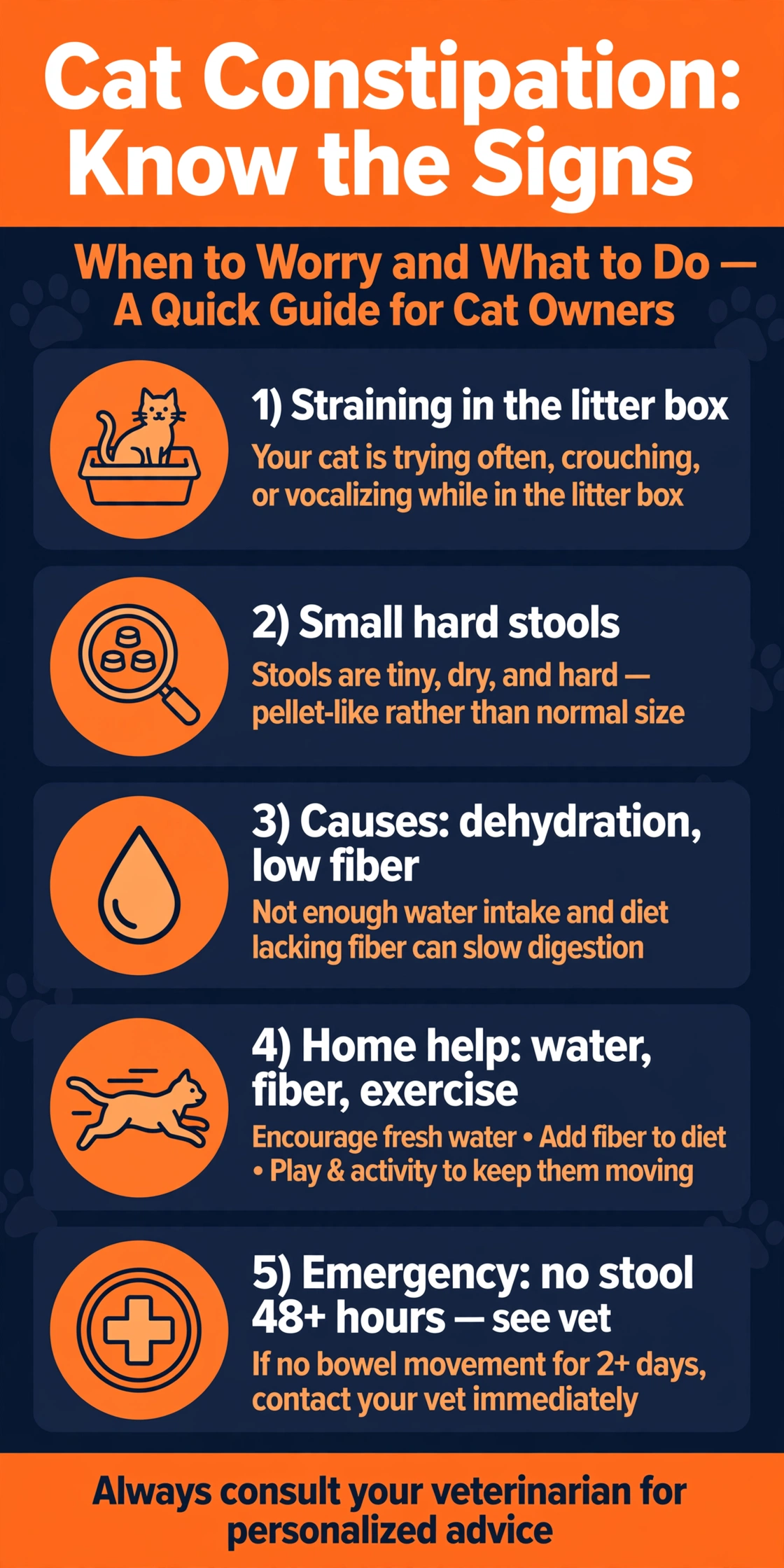 Infographic of cat constipation signs, causes, home help, and emergency warnings