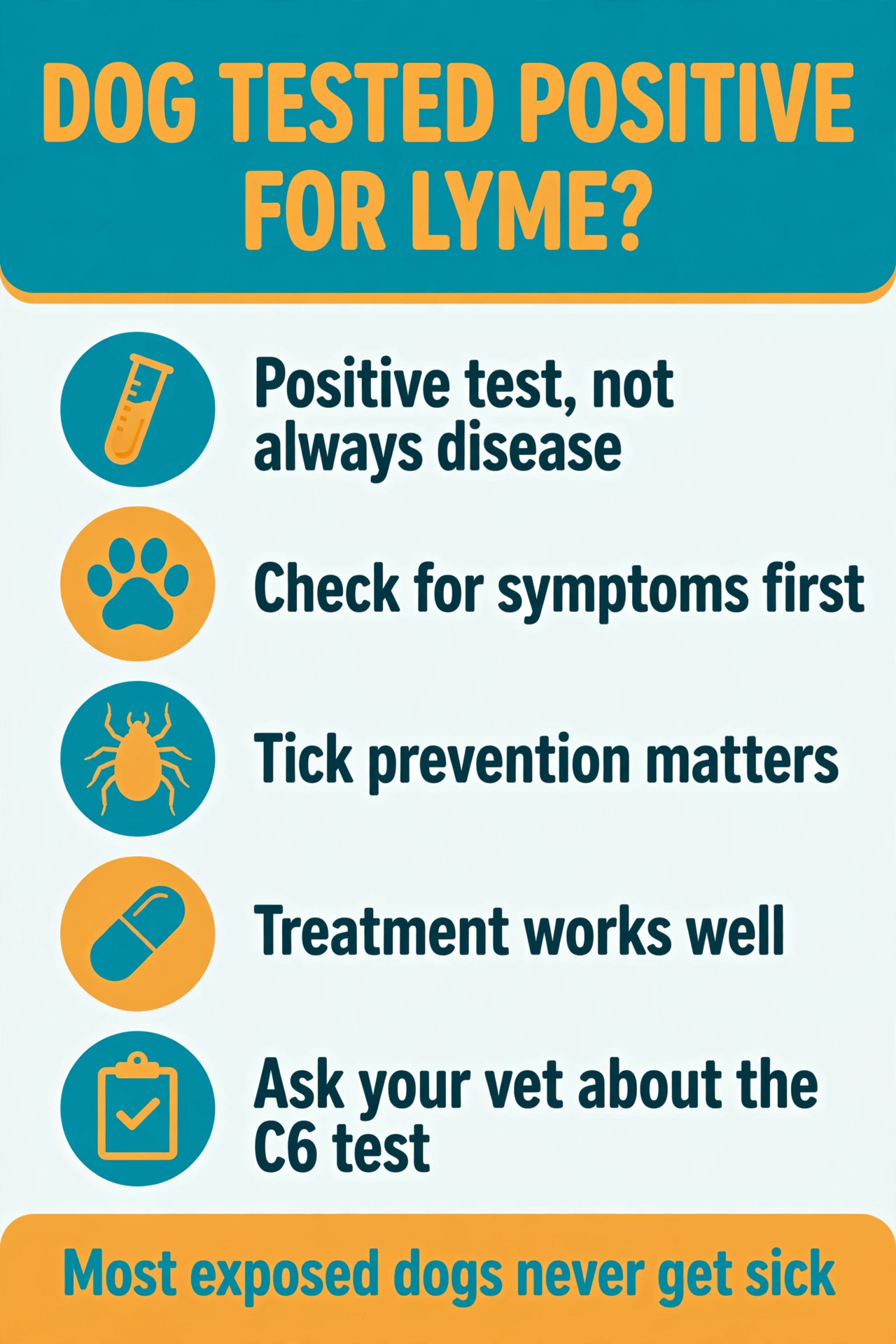 Infographic: what a positive Lyme test result means for your dog