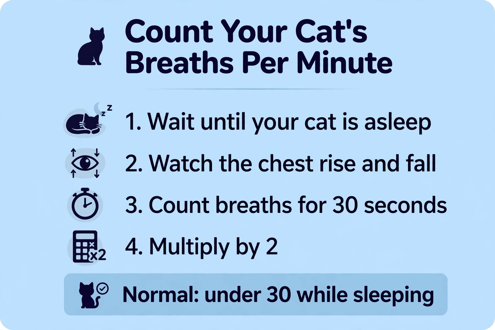 How to count your cat's breaths per minute in 4 steps