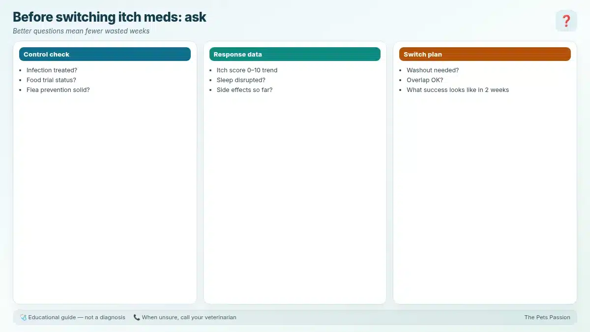 Before switching itch meds: ask. Better questions mean fewer wasted weeks Before switching itch meds: ask. Better questions mean fewer wasted weeks