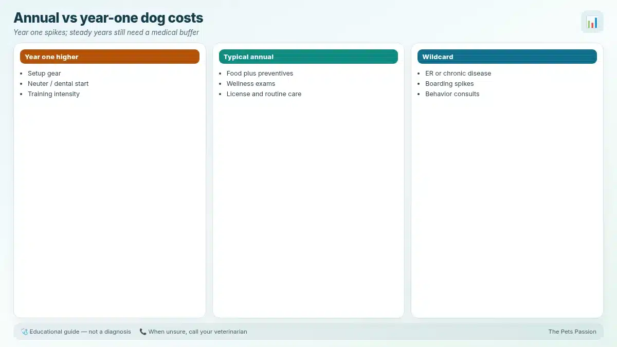 Annual vs year-one dog costs. Year one spikes; steady years still need a medical buffer Annual vs year-one dog costs. Year one spikes; steady years still need a medical buffer