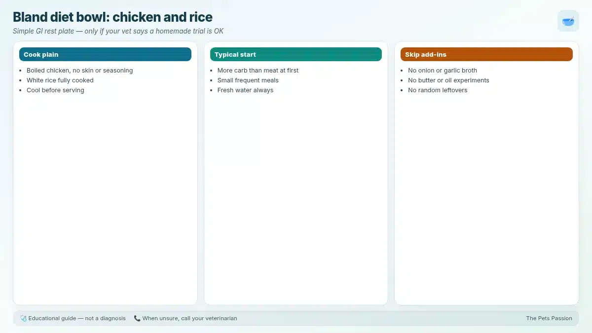Bland diet bowl: chicken and rice. Simple GI rest plate — only if your vet says a homemade trial is OK Bland diet bowl: chicken and rice. Simple GI rest plate — only if your vet says a homemade trial is OK