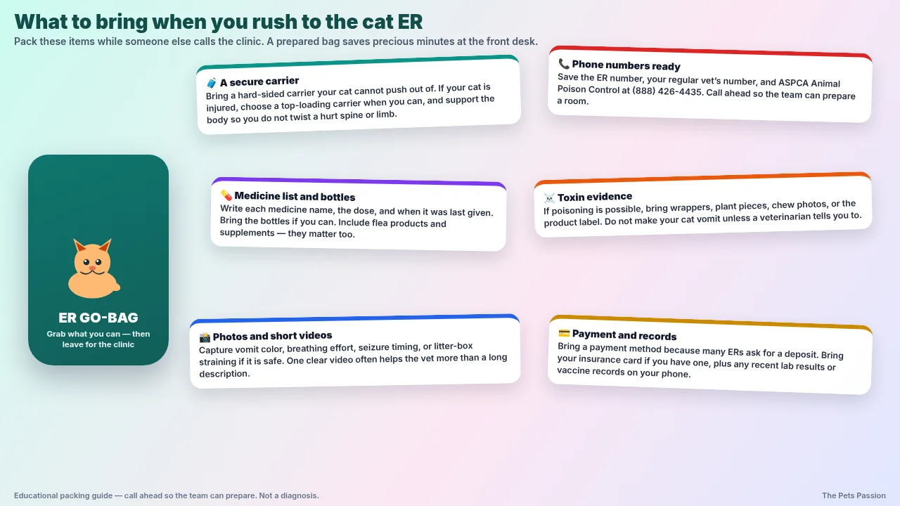 What to bring to cat ER readable go-bag What to bring to the cat ER explained in full sentences: carrier, phone numbers, meds list, toxin evidence, photos, payment