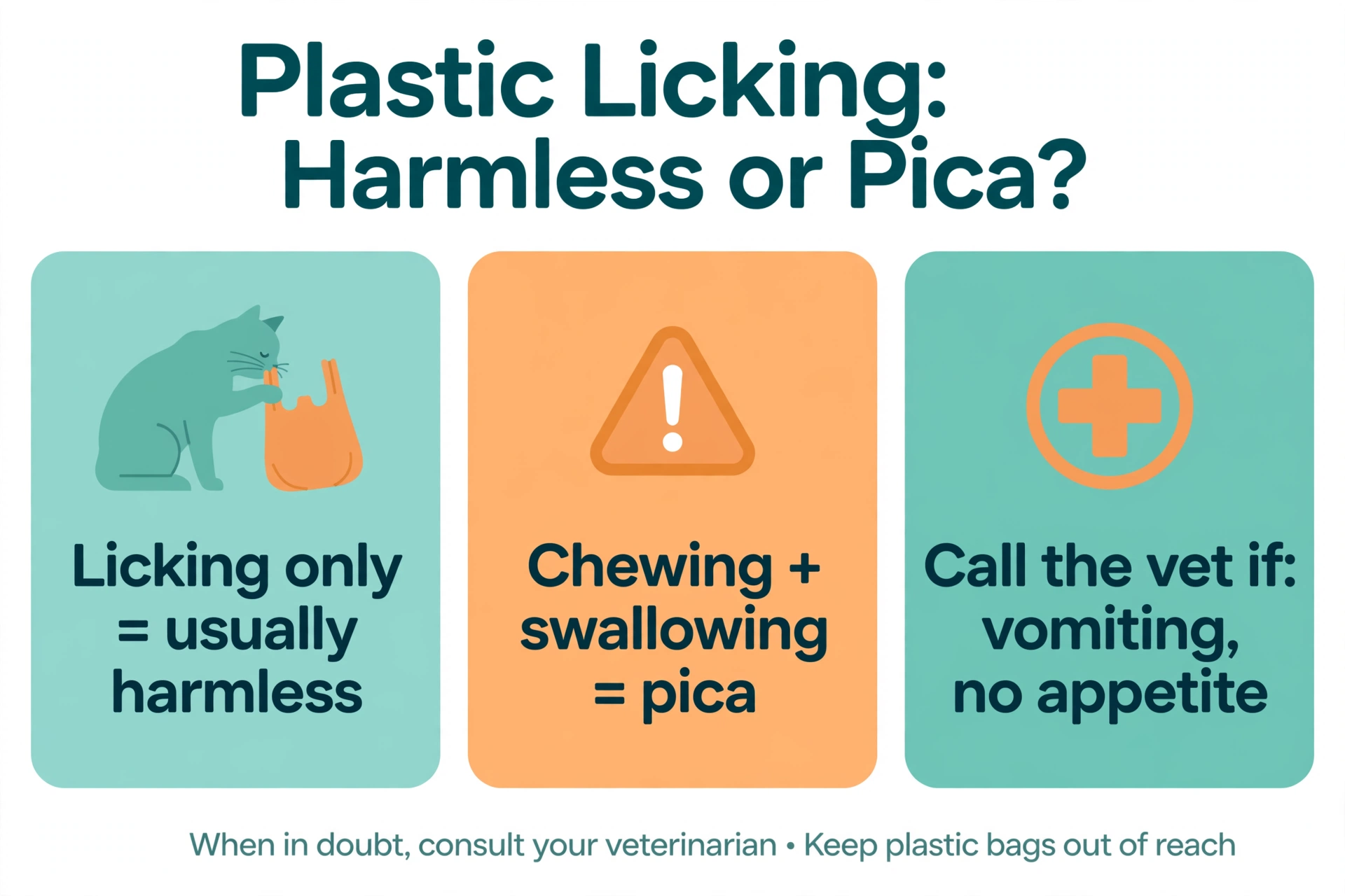 Infographic: plastic licking — licking only is usually harmless, chewing and swallowing is pica, call the vet for vomiting or loss of appetite.