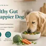 Do dogs need probiotics