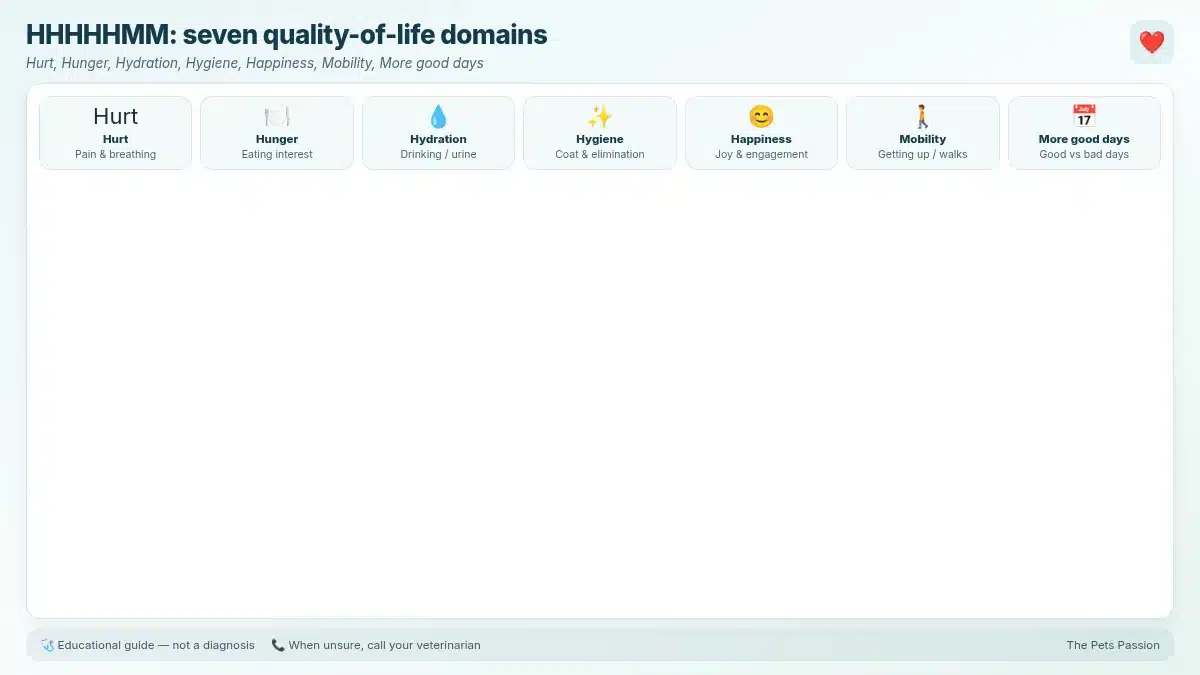 HHHHHMM: seven quality-of-life domains. Hurt, Hunger, Hydration, Hygiene, Happiness, Mobility, More good days