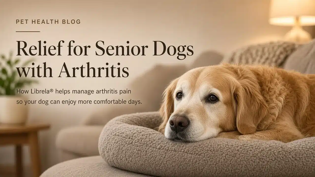 Librela side effects in dogs