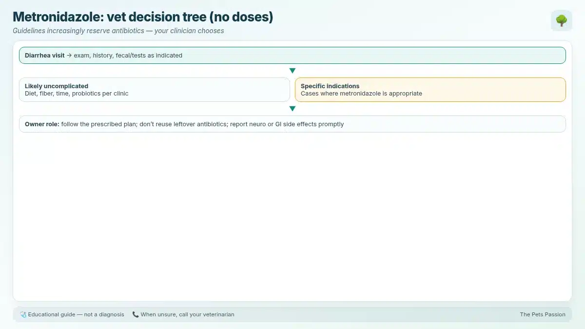 Metronidazole: vet decision tree (no doses). Guidelines increasingly reserve antibiotics — your clinician chooses Metronidazole: vet decision tree (no doses). Guidelines increasingly reserve antibiotics — your clinician chooses